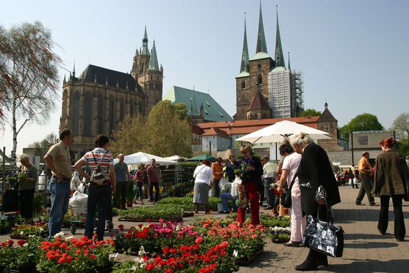 Dom Erfurt
