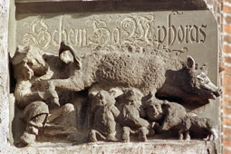 Relief of the “Jewish sow” at the City Church of St. Mary in Wittenberg