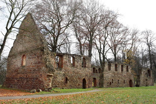 Ruine Kloster Nimbschen
