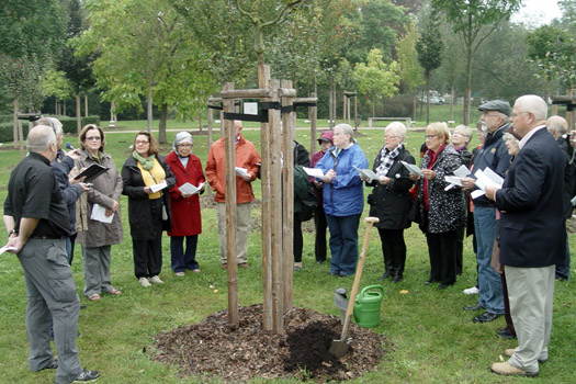 Pflanzung des 200. Baumes im Luthergarten